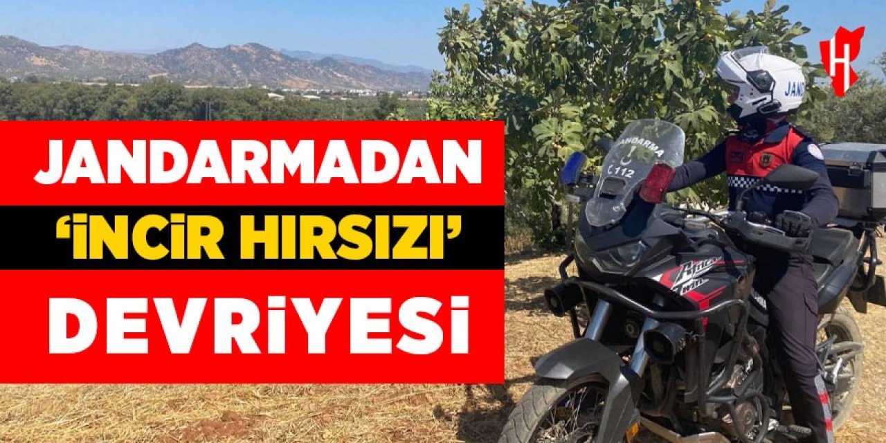 Aydın'da jandarmadan 'incir hırsızı' devriyesi