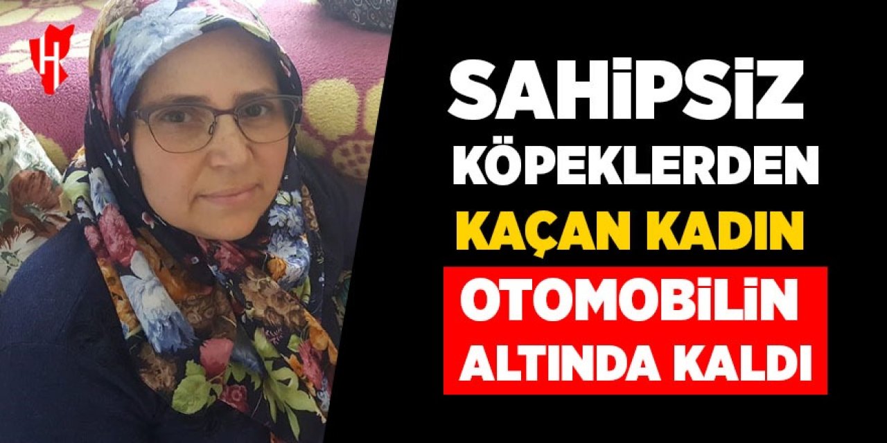 Sahipsiz köpeklerden kaçarken aracın altında kaldı