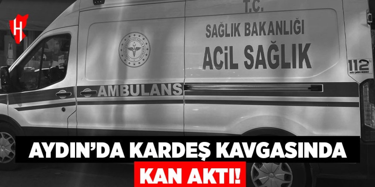 Aydın'da kardeş kavgasında kan aktı!