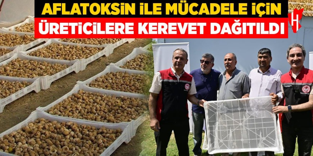 Aydın'da kuru incir üretiminde aflatoksinle mücadele için üreticilere 19 bin kerevet dağıtıldı