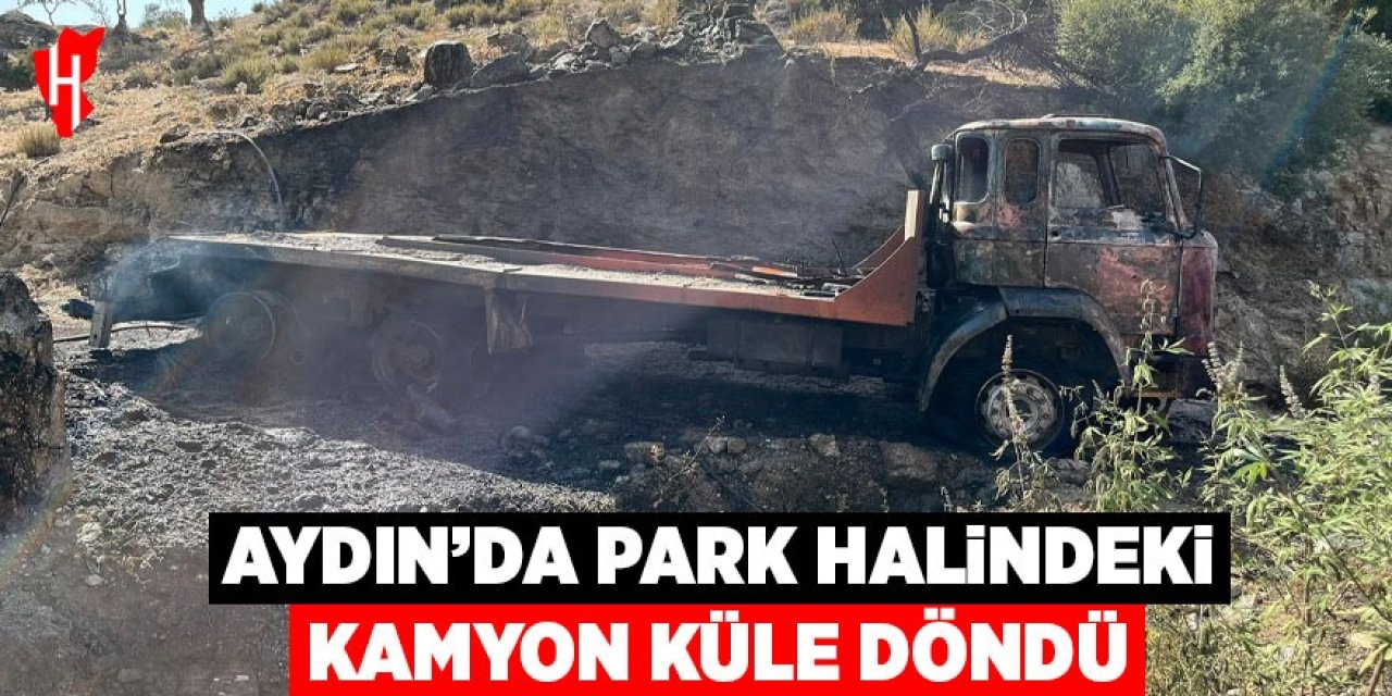 Park halindeki kamyon tamamen yandı