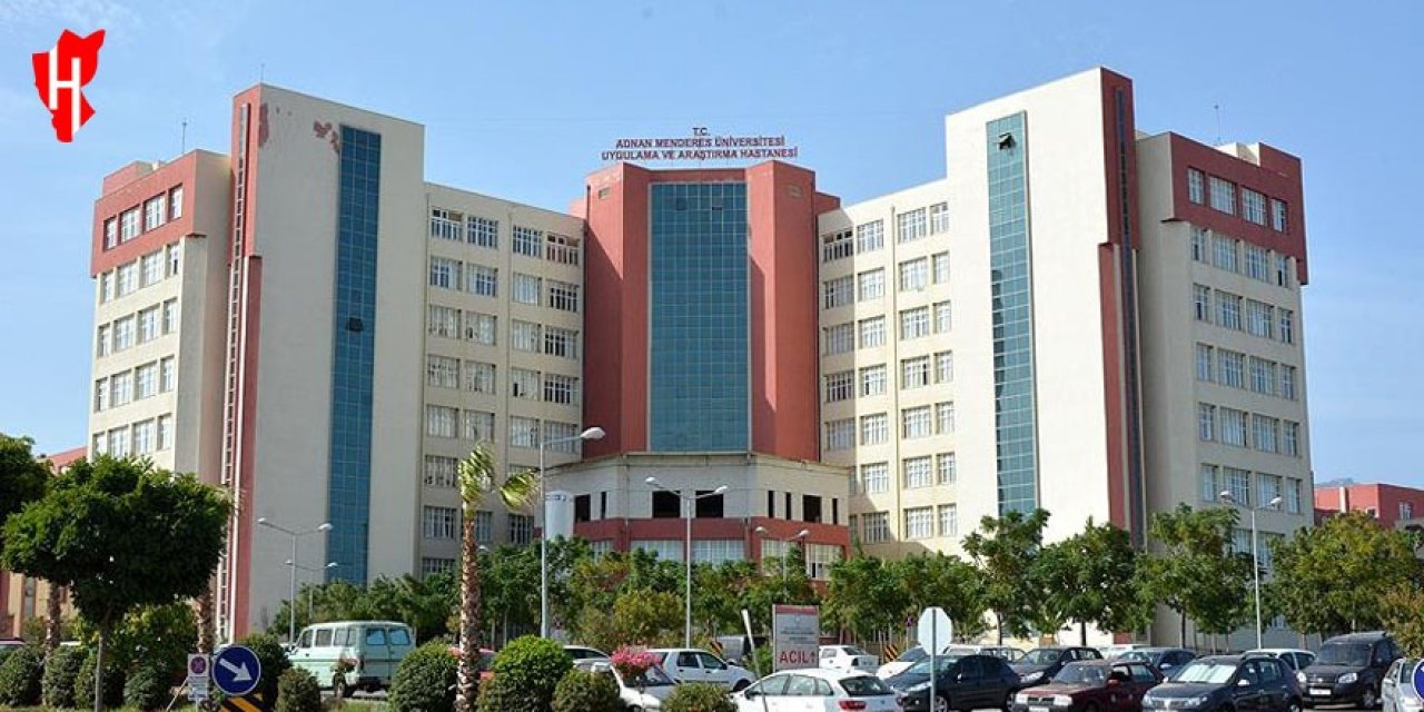 Kuşadası'nda gaspçılar çocuğu sırtından bıçakladı