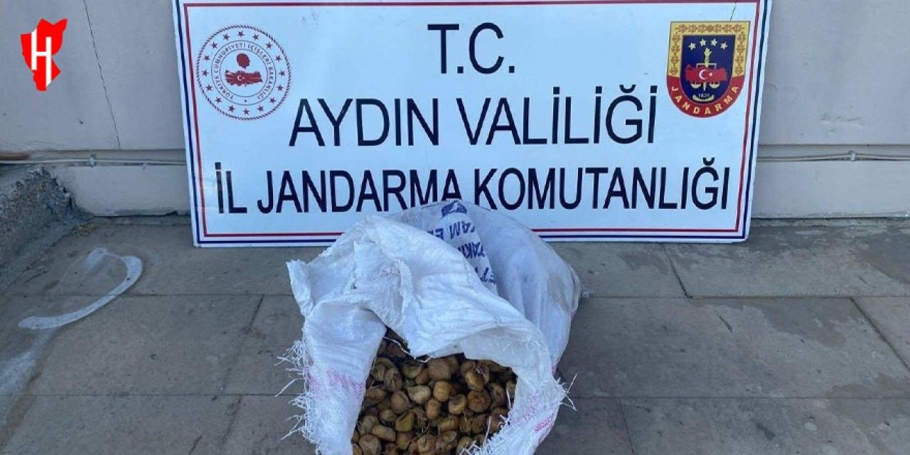 Bahçeden 50 kilo incir çalan şüpheliler kaçamadı