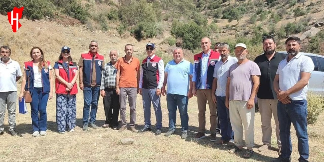 Aydın’da mera ıslah projeleri sürüyor