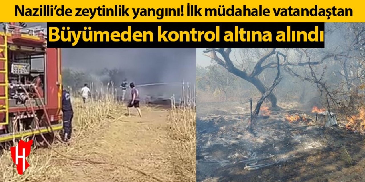 Nazilli'de zeytinlik alanda yangın çıktı!