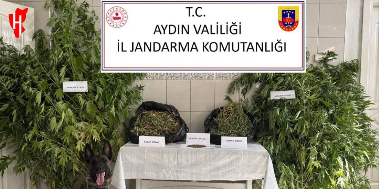 Jandarmadan uyuşturucu operasyonu: 12 şüpheli yakalandı