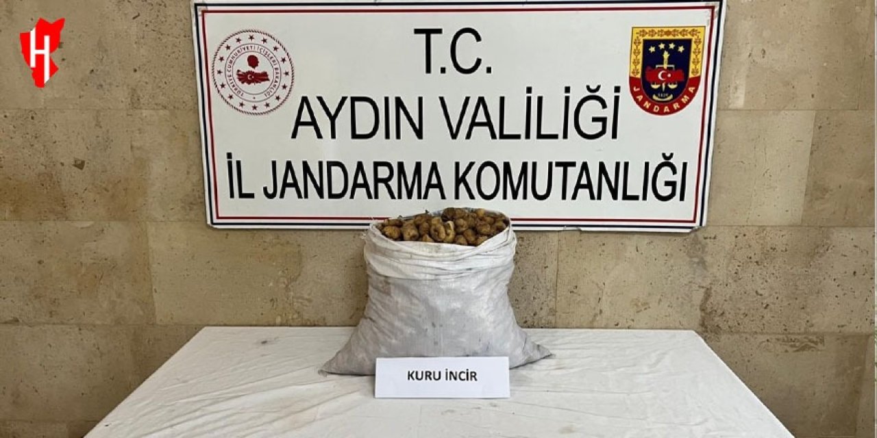 Motosikletli incir hırsızı jandarmadan kaçamadı