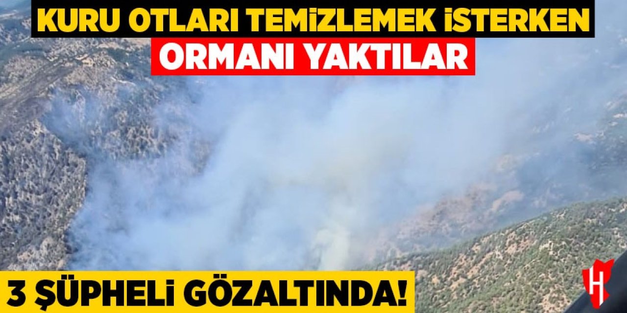 Kuru otları temizlemek isterken ormanı yaktılar! 3 şüpheli gözaltında