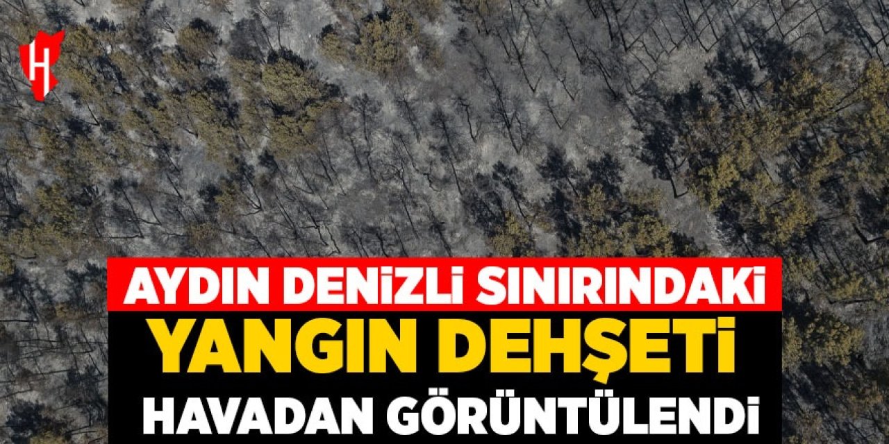 Yangın dehşeti havadan görüntülendi