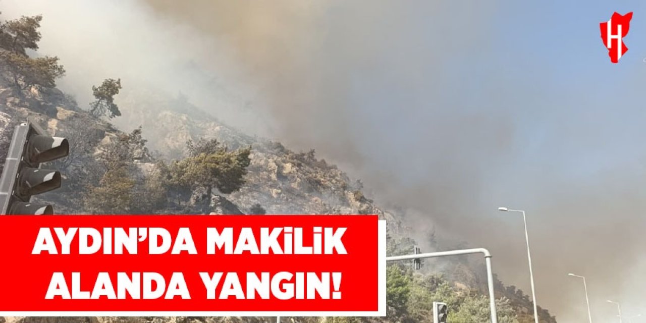 Aydın'da makilik alanda yangın!