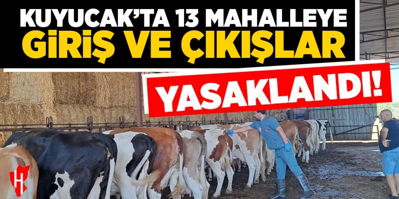 Kuyucak'ta 13 mahalleye giriş çıkış yasaklandı!