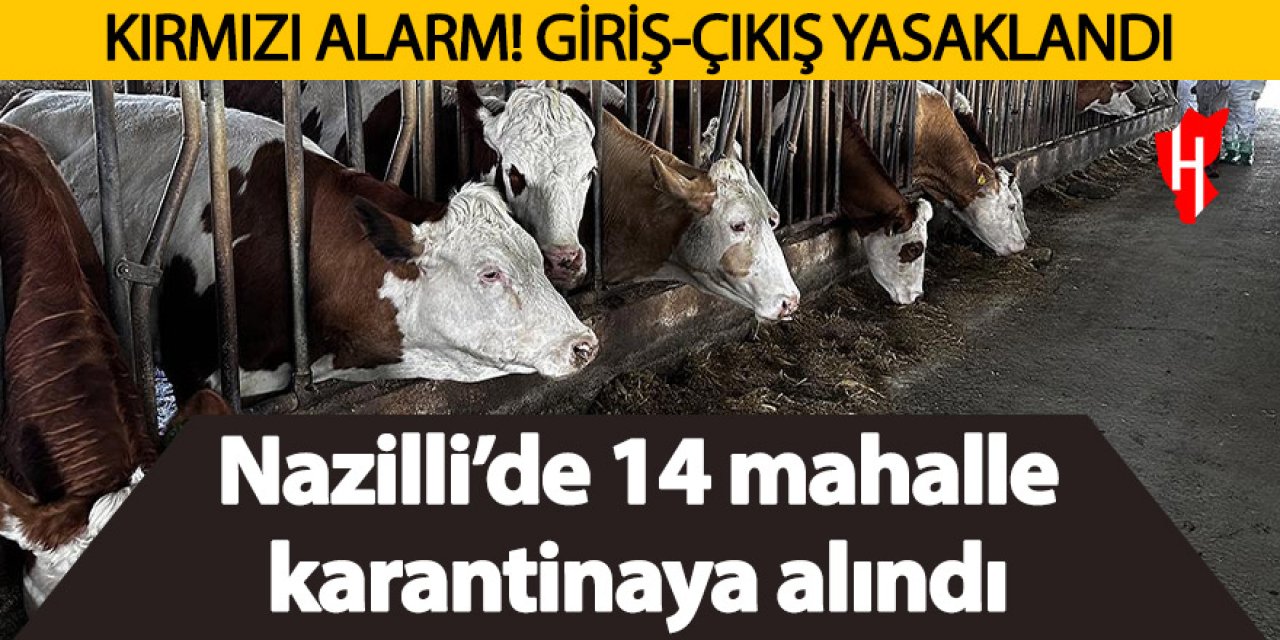 Nazilli'de 14 mahalle karantinaya alındı!