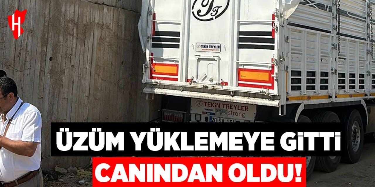 Üzüm yüklemeye gitti, canından oldu