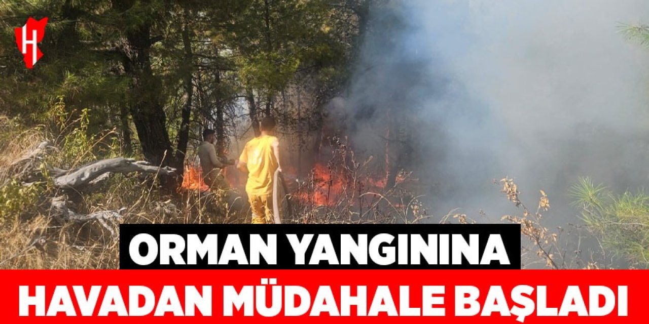 Orman yangınına havadan müdahale başladı