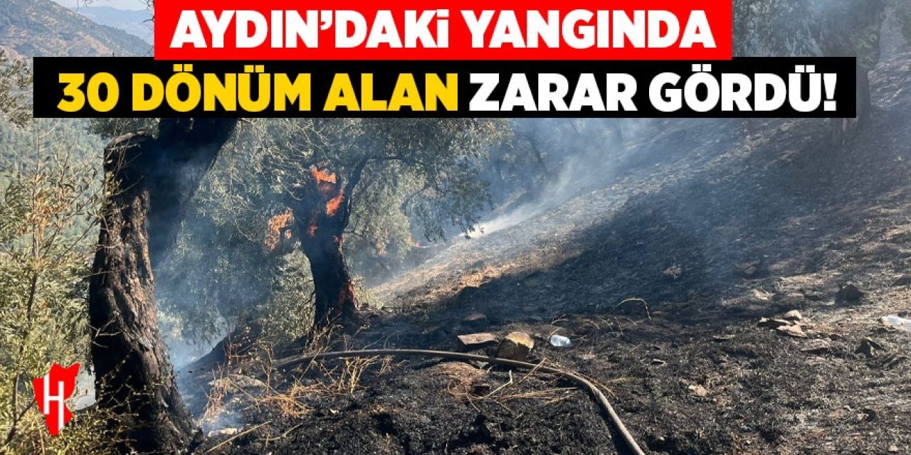 Aydın'daki yangında 30 dönüm alan zarar gördü