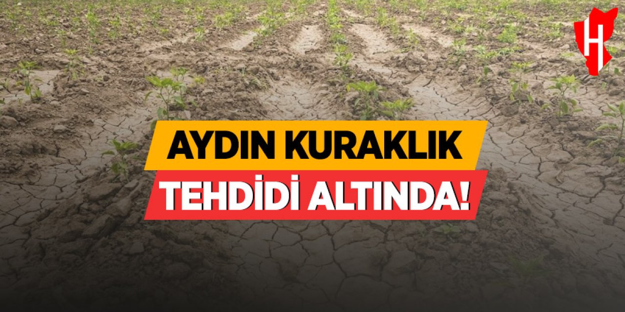 Aydın kuraklık tehdidi altında