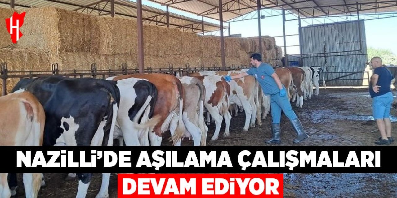 Nazilli’de aşılama çalışmaları devam ediyor