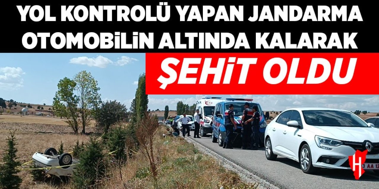 Yol kontrolü yapan jandarma şehit oldu
