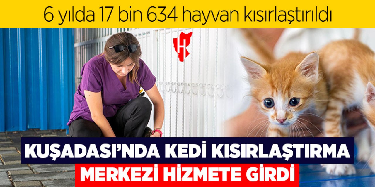 Kuşadası’nda kedi kısırlaştırma merkezi hizmete girdi