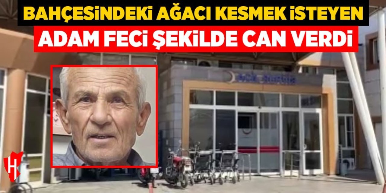 Bahçesindeki ağacı kesmek isteyen adam feci şekilde can verdi