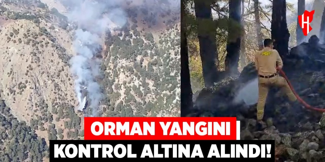 Orman yangını kontrol altına alındı