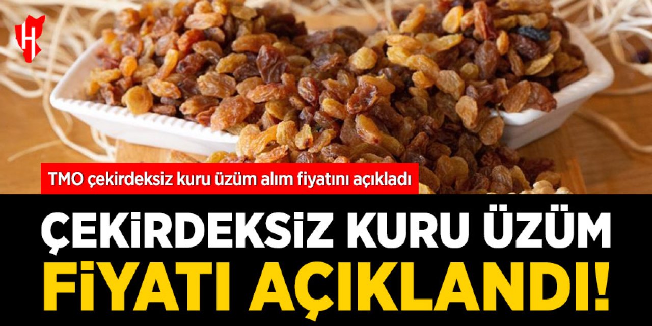 TMO çekirdeksiz kuru üzüm alım fiyatını açıkladı