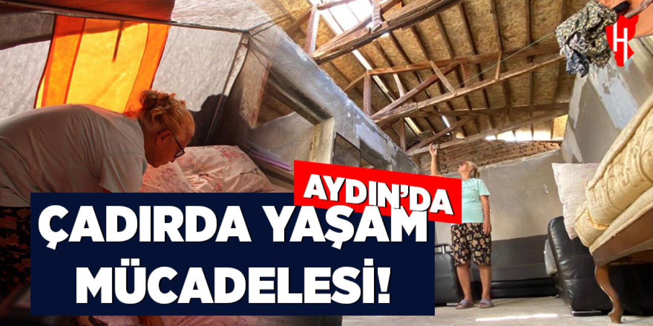 Aydın'da çadırda yaşam mücadelesi