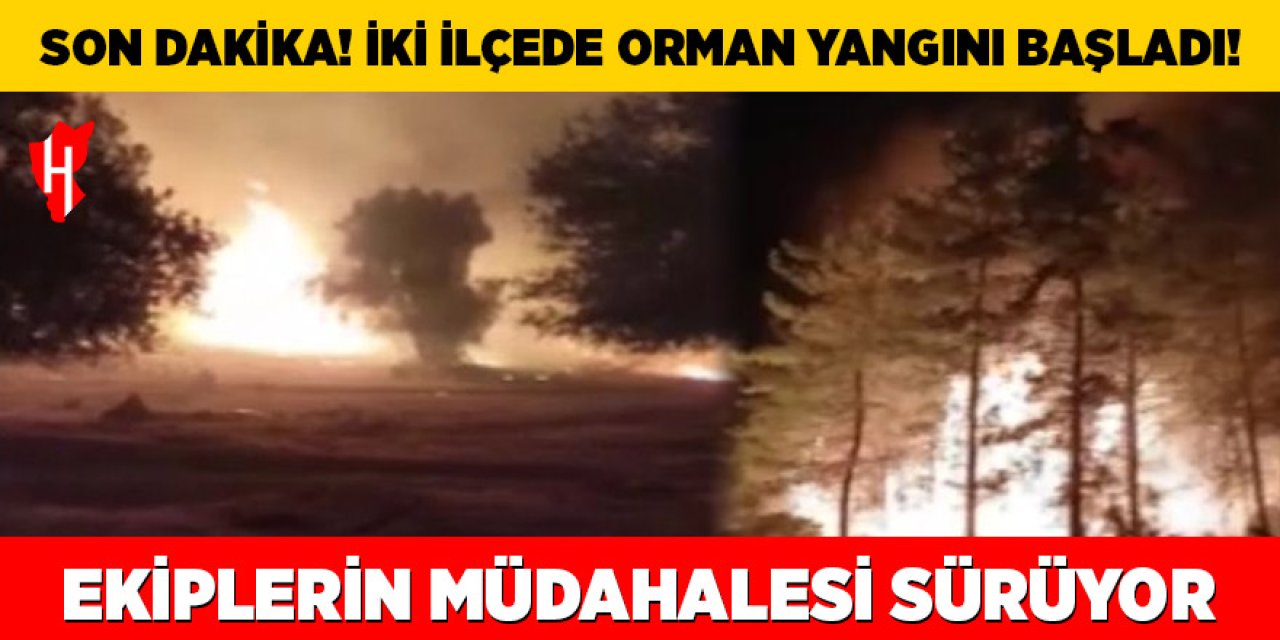İki ilçede orman yangını başladı!