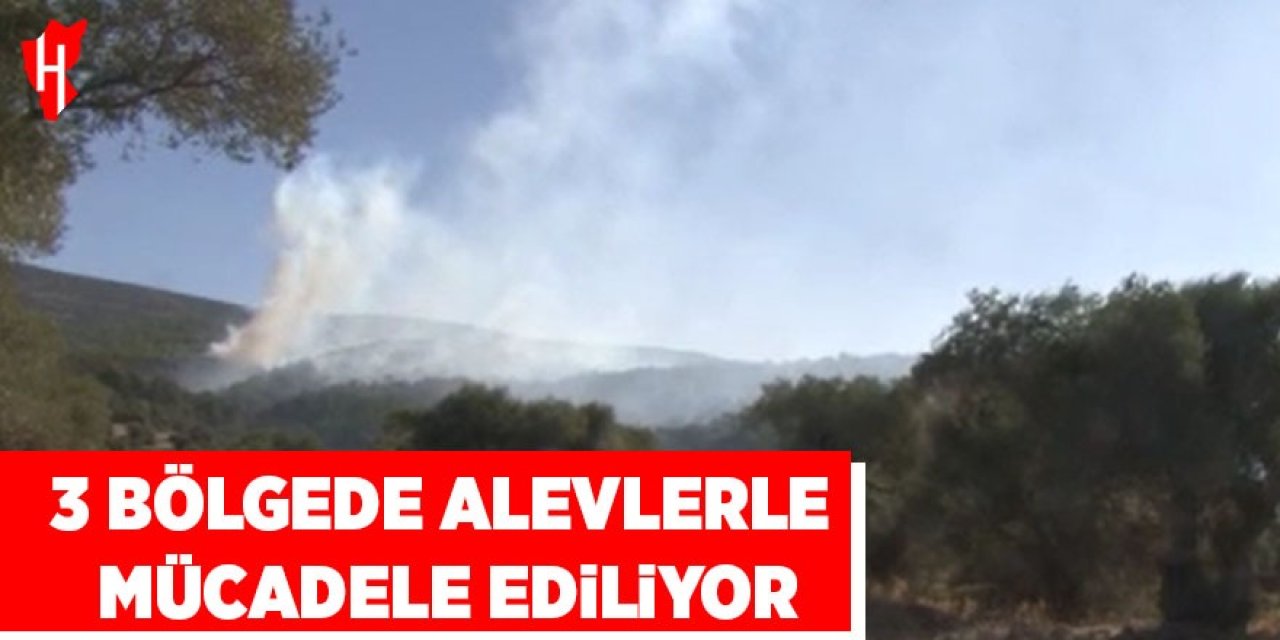 Ekipler 3 bölgede alevlerle mücadele ediyor