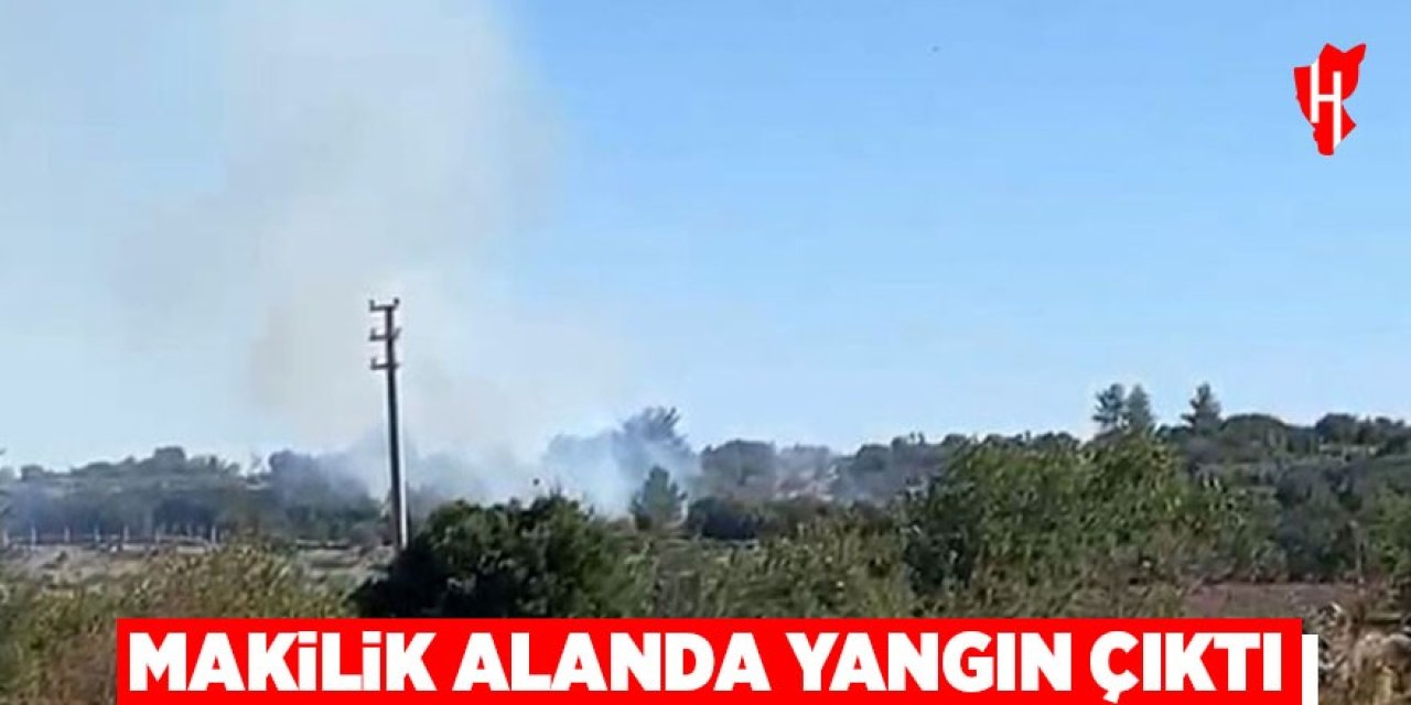 Makilik alan yangını