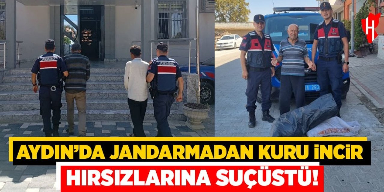 Aydın'da jandarmadan kuru incir hırsızlarına suçüstü!