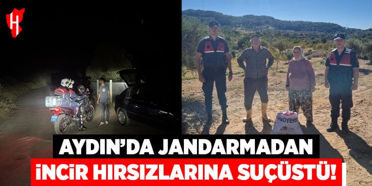 Aydın'da incir hırsızlarına suçüstü!