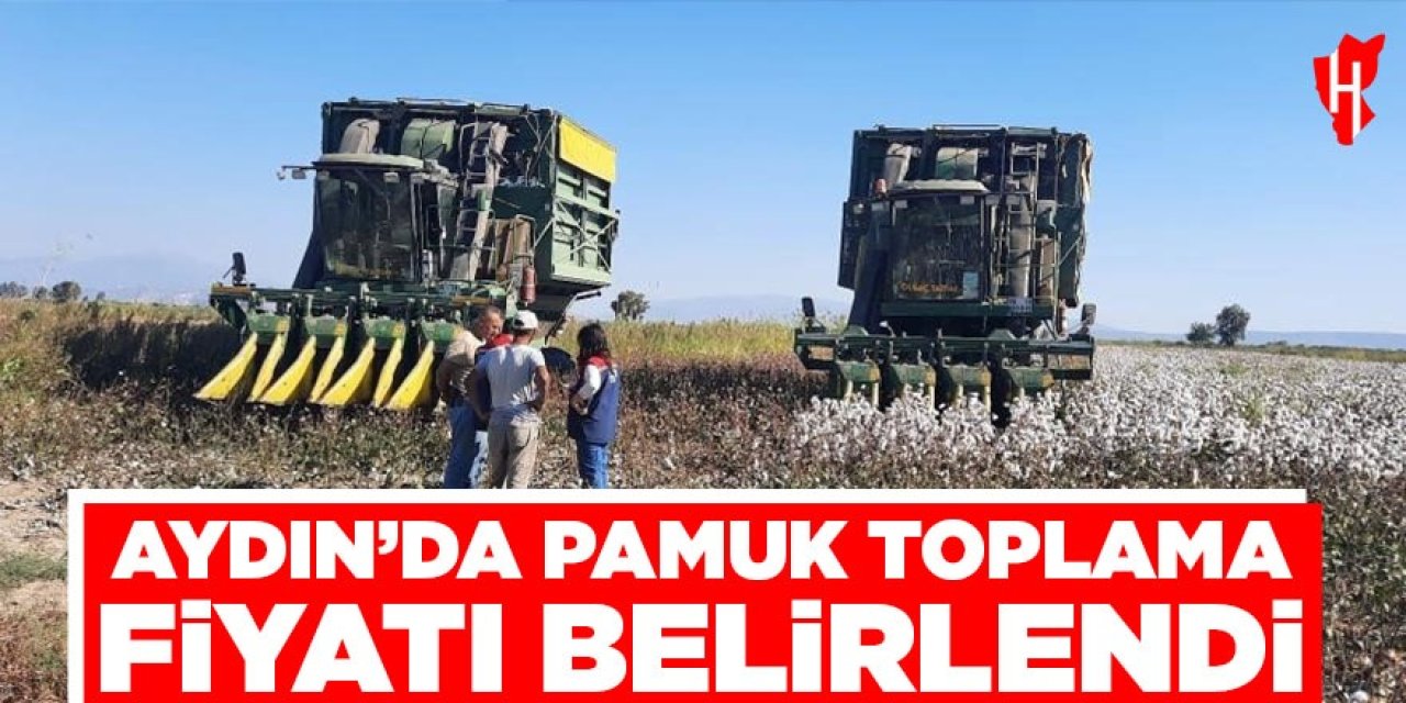 Aydın’da pamuk toplama fiyatı belirlendi