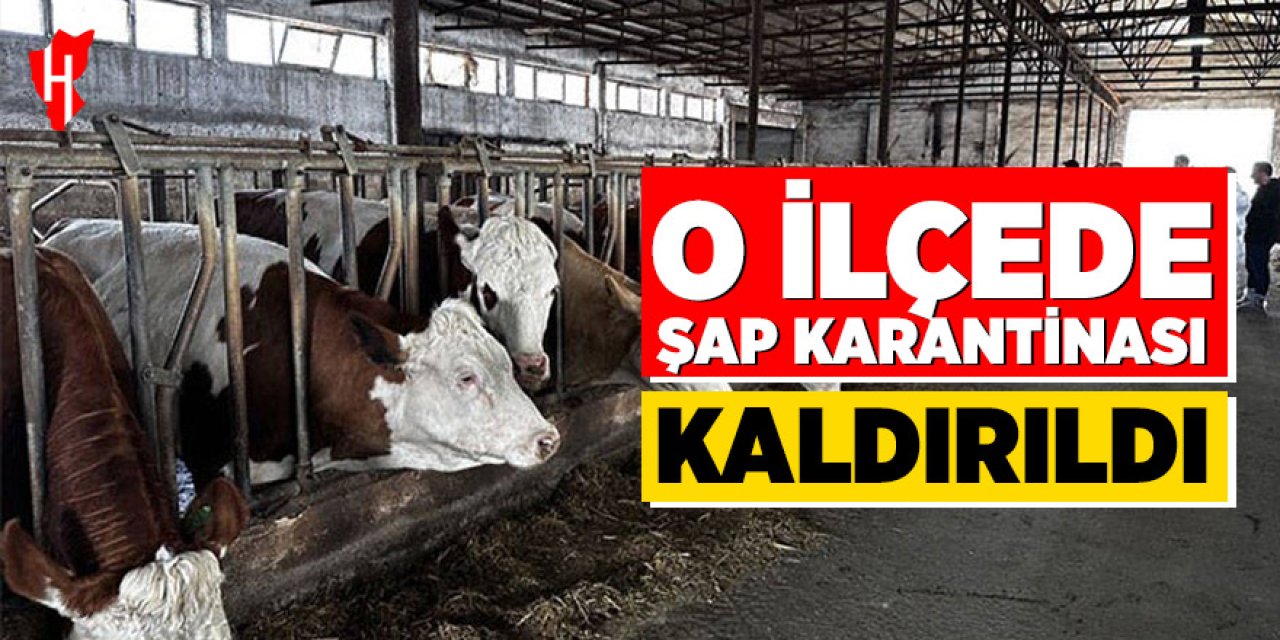 O ilçede şap karantinası kaldırıldı