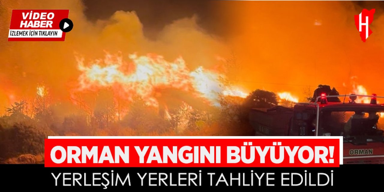Orman yangını hızla büyüyor!