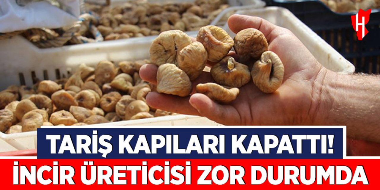 Tariş alımları kapattı, incir üreticisi zor durumda