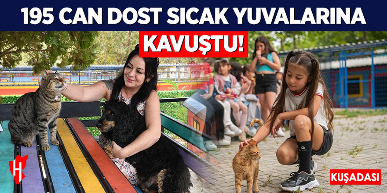 195 can dost sıcak yuvalarına kavuştu!