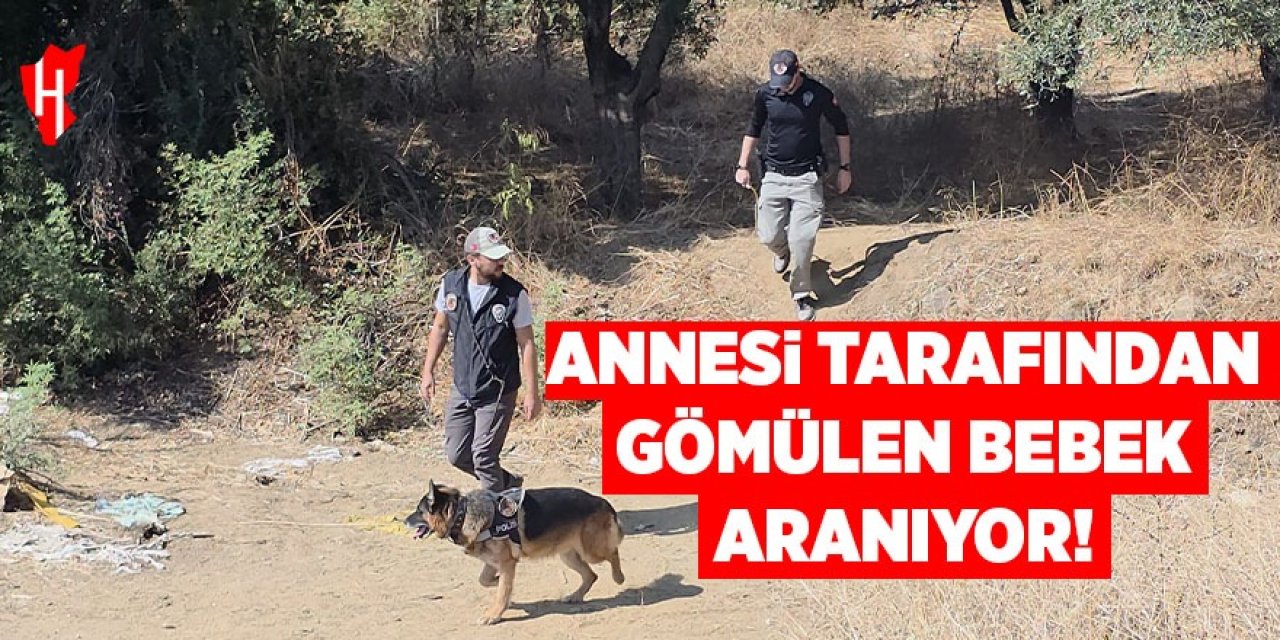 Annesi tarafından toprağa gömülen bebek aranıyor