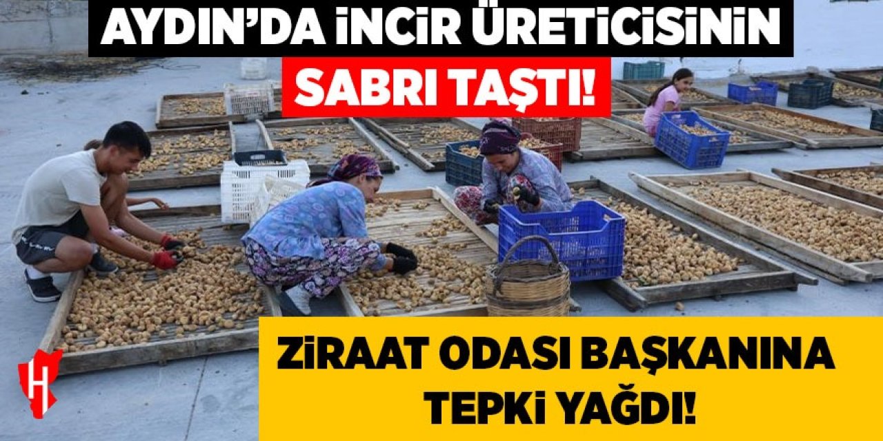 Aydın'da incir üreticisinin sabrı taştı! Ziraat Odası Başkanına tepki yağdı