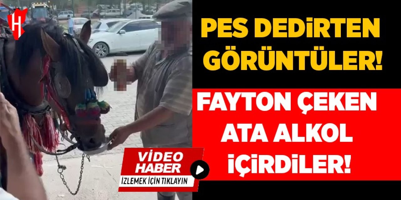 Fayton çeken ata alkol içirdiler