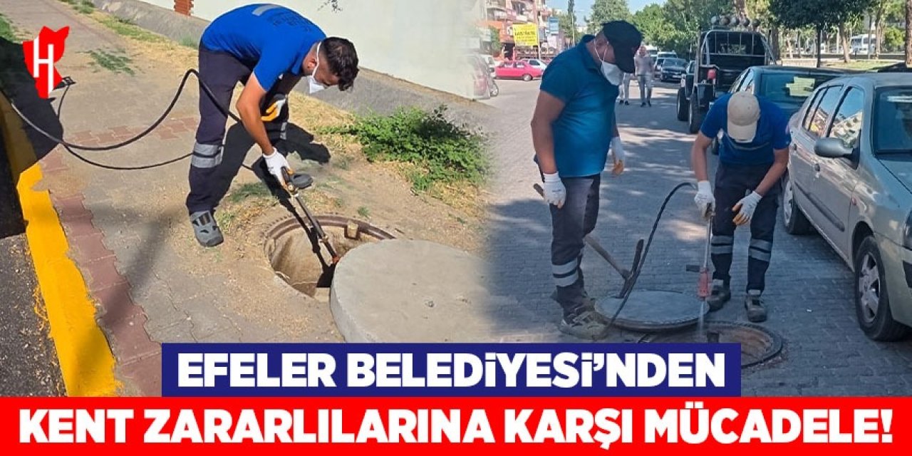 Efeler Belediyesi'nin kent zararlılarına karşı mücadelesi devam ediyor