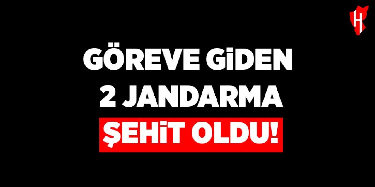Göreve giden 2 jandarma şehit oldu