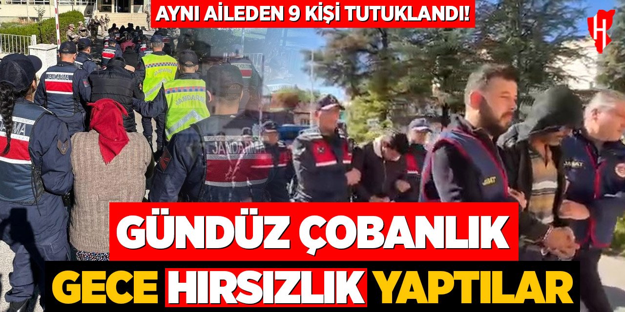 Gündüz çobanlık, gece hırsızlık yapan aile yakalandı: 9 tutuklama