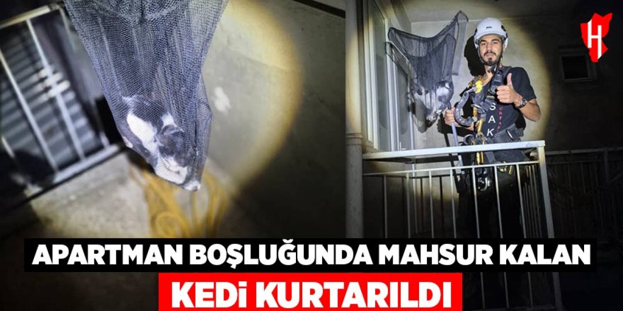 Aydın'da apartman boşluğunda mahsur kalan yavru kedi kurtarıldı