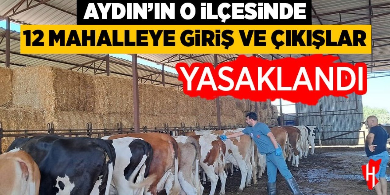Aydın'ın o ilçesinde 12 mahalleye giriş ve çıkışlar yasaklandı!
