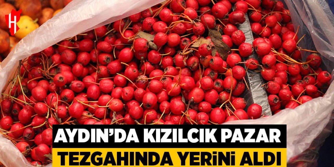 Aydın'da kızılcık pazar tezgahlarında yerini aldı