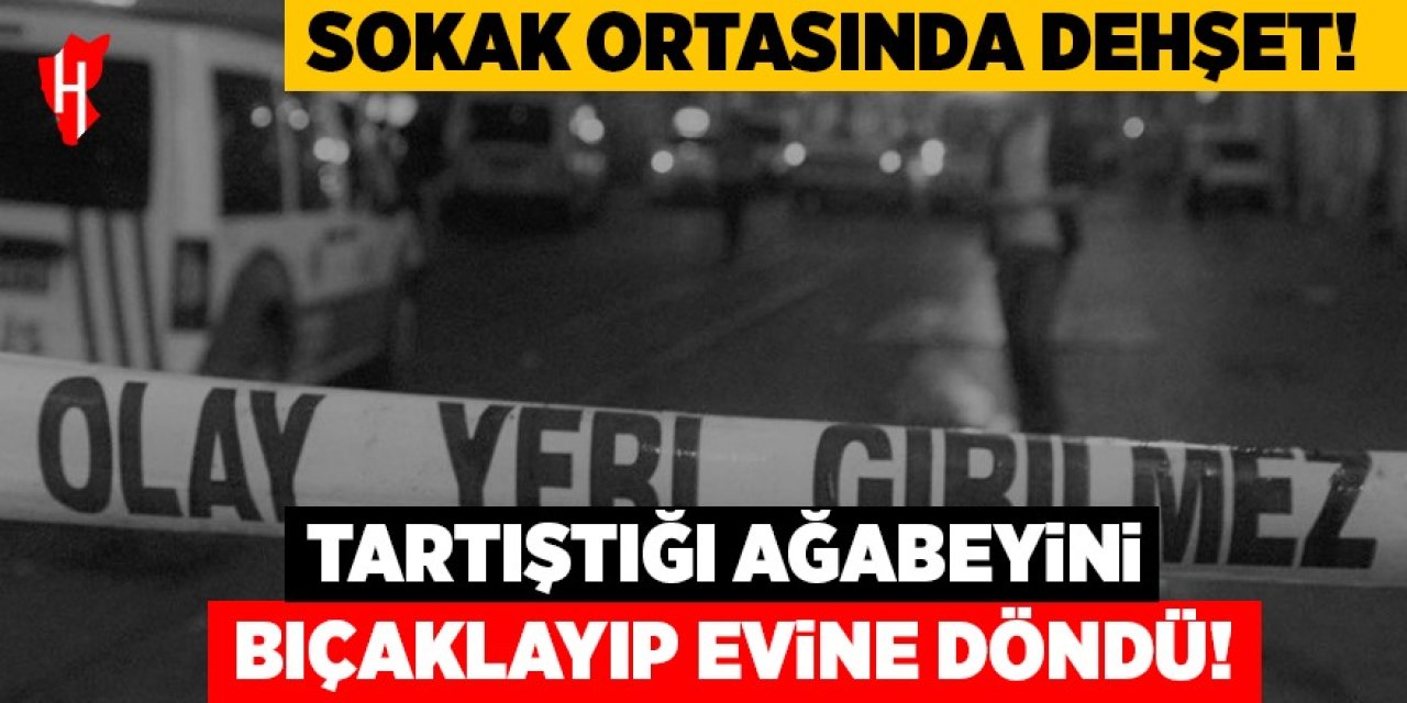 Tartıştığı ağabeyini bıçaklayıp evine döndü