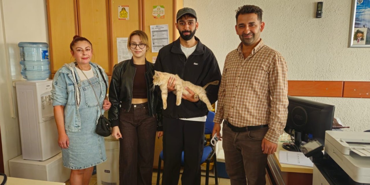 Nazilli'de kayıp kedi çip sayesinde sahibine kavuştu