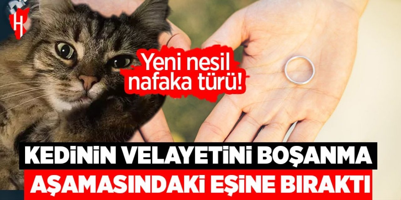 Yeni nesil nafaka türü: Kedinin velayetini boşanma aşamasındaki eşine bıraktı