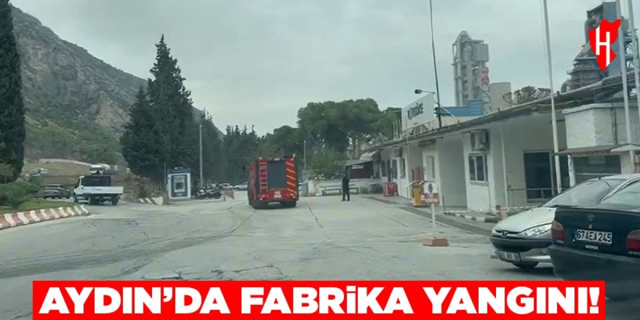 Aydın’da fabrika yangını!